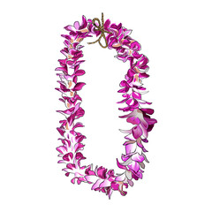 Hawaiian orchid lie purple flower hand drawing vector illustration  © Manjurul