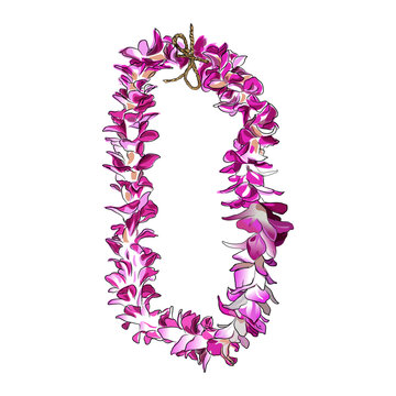 Hawaiian orchid lie purple flower hand drawing vector illustration 