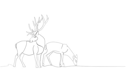 a pair of reindeer one line icon, Continuous one line drawing, Christmas or New Year decoration, pair of deer in single line, pair of Christmas reindeer with one line minimalist abstract style