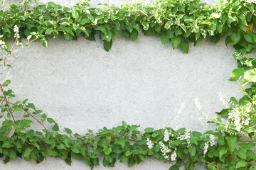 frame of leaves plant background