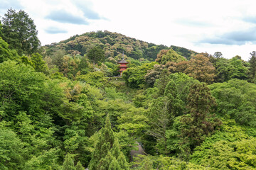 The three-story Koyasu Pagoda on the richly forested hills near Kiyomizu-dera Temple in Kyoto, Japan