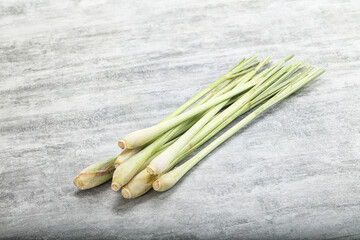 Lemongrass - Asian aroma plant for cooking