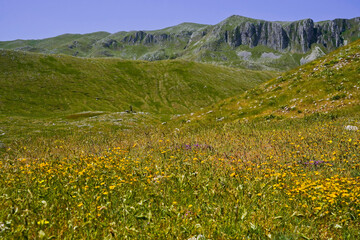 Obraz premium Campitello Matese,la strada panoramica SP106,Campobasso,Molise,Italia