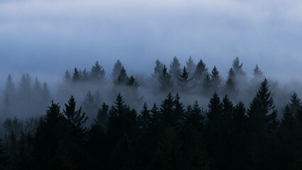 Sunset in the Teplice-Adršpašské rocks. The sun is low on the horizon and the inverted clouds...