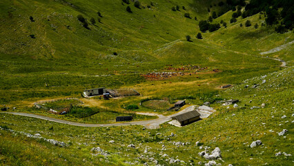 Campitello Matese,la strada panoramica SP106,Campobasso,Molise,Italia