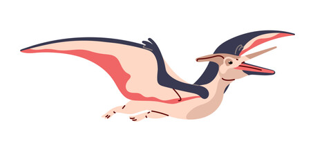 Pteranodon in the flight. Pterodactyl with open jaw flies. Pterosaur, flying dinosaur. Dino with wings, ancient reptile. Jurassic monster. Paleontology. Flat isolated vector illustration on white © Paper Trident