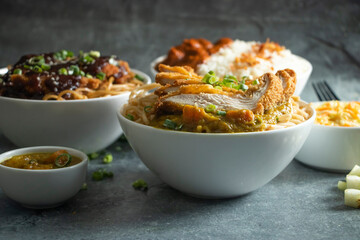Teriyaki Grilled Chicken Noodles, Katsu Chicken Noodle, Butter Chicken with Rice served in bowl isolated on grey background closeup side view of assorted asian food verity