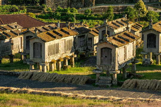 traditional granaries in Galicia and northern Portugal called espigueiros. Lindoso, Ponte da Barca. North Portugal