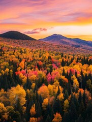 Obraz premium A scenic view of the sun setting over a forest of colorful autumn trees, casting warm orange and pink hues in the sky.