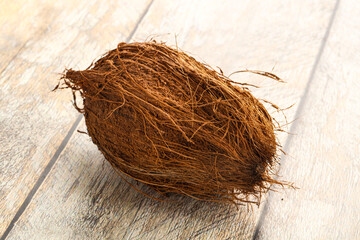 Natural exotic brown hairy coconut