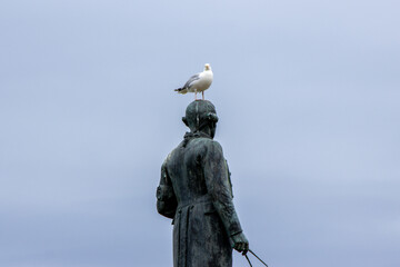 The Seagull Is A Large Bird Often Seen At The Seaside Trying To Steal Food Etc From People