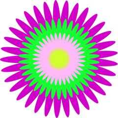 Flower illustration on a white background vector icon