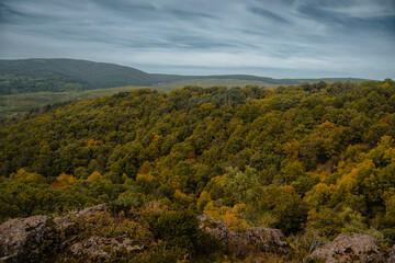 Obraz premium Lakes, yellow, green and brown autumn leaves