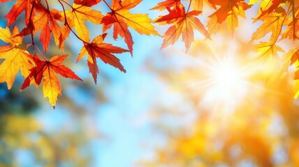 Autumn background with maple leaves and bokeh,Fall blurred background, Yellow and red maple leaves are flying and falling down. Autumnal landscape.water drop on leaf,space for text.