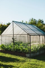 Minimalist Greenhouse in Sunlit Garden for Eco-Friendly Design and Botanical Studies