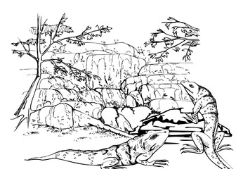 Waterfall on rock boulders with trees, flowing water stream, stone wall, iguana lizards. Hand drawn ink vector illustration, isolated scenic landscape. Design travel, vacation, brochure, nature tours