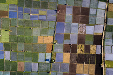 colorful farm aerial view in Lombok island