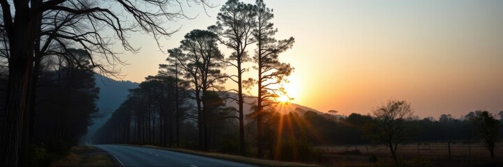 Obraz premium Scenic road winding through lush forest with towering ancient trees and golden sunset shining through branches, travel, ancient