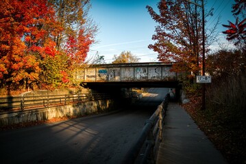 Autumn bridge with vibrant foliage