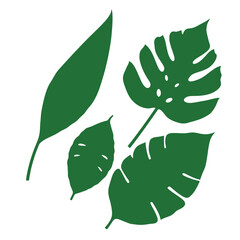 Fototapeta premium a collection of four different types of tropical leaves on vector type