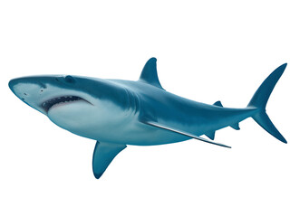Obraz premium A majestic great white shark with powerful body and sharp teeth ready to hunt 