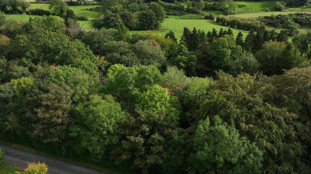 Saint Peter's Tin Church, Laragh, County Monaghan, Ireland, September 2022. Drone orbits counter clockwise pushing closer to the stunning Swiss Gothic style building in a forest before pulling away.