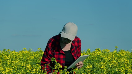 Woman Farmer Standing In A Rapeseed Field. Agriculture Business. Agriculture Productivity Tools. Woman Farmer Working With Digital Tablet In Rapeseed Field.