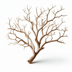 Fototapeta premium A silhouette of a tree isolated on white background, showcasing its branches, leafless, and natural pattern
