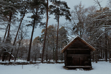 A rustic wooden cabin surrounded by tall trees in snowy Estonia during winter