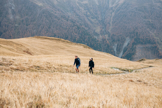 Two hikers walking across a golden meadow in alpine terrain