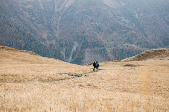 Two hikers walking across a golden meadow in alpine terrain