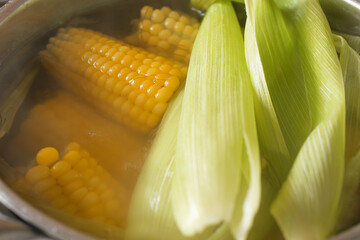 Boiled corn from pot with leaves in kitchen, close up