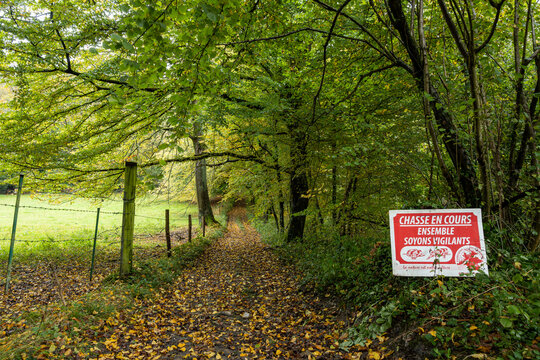 Panneau "Jour de Chasse, Tir &agrave; balles", d&eacute;pos&eacute; &agrave; l'entr&eacute;e d'un chemin de for&ecirc;t. Panneau r&eacute;glementaire de la f&eacute;d&eacute;ration des chasseurs