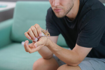 A man is lovingly petting a small hamster on his hand while sitting on a comfortable couch. The atmosphere is calm and intimate, showcasing the bond between them