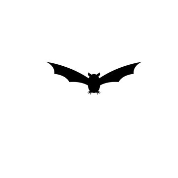 recommend clip art: Halloween bat silhouette