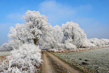 Winterlandschaft, Raureiflandschaft