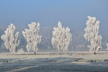 Winterlandschaft, Raureiflandschaft