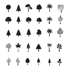 Urban Park Tree Icon Set - Modern Flat Vector Silhouettes of Willow, Maple, and Sapling Trees with Line Detail