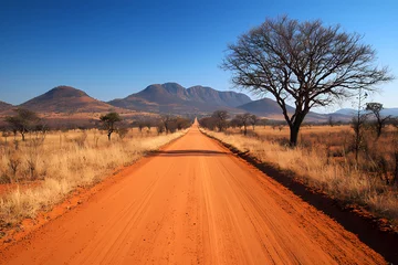  A red dirt road winds through the middle of South Africa, with mountains and trees lining both sides. 