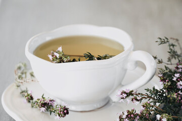 Close up tea cup thyme medicinal properties.
