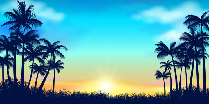 Palm trees of the tropics at sunrise