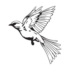 bird, eagle, wings, animal drawing vector design 