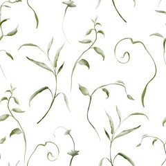 Herbal Watercolor seamless pattern. Backdrop herb are hand drawn on a white background. Simple ornament texture of twigs and green plant. Design of wrapping paper and textiles
