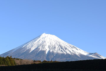 Fototapeta premium FUJI 富士山