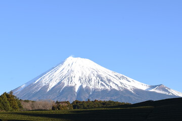 FUJI 富士山