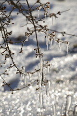 Eis, Eiszapfen