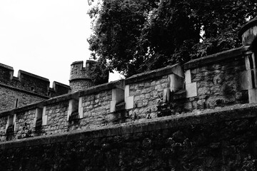 black and white photo