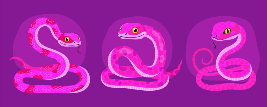 Collection of cute pink snakes on purple background. Reptile, animal, zodiac cartoon character, mascot, symbol of the year. Curved spotted snakes. New Year of the Snake.