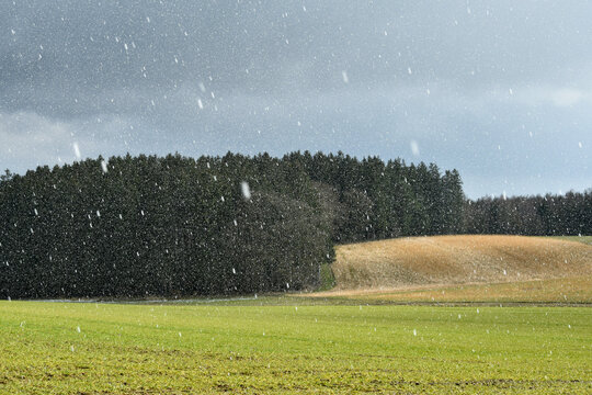Wetter, Schneefall, Schneeschauer