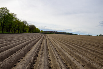 Spring field in the suburbs of Germany